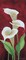 Calla on burgundy III Poster Print by Gertrud Schweser - Item # VARPDXMLV259